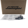LAMBORGHINI pulse generator - 06M907601